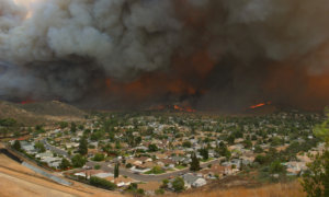 California Home Insurance Crisis: Navigating the Fallout of Wildfires and a Changing Market