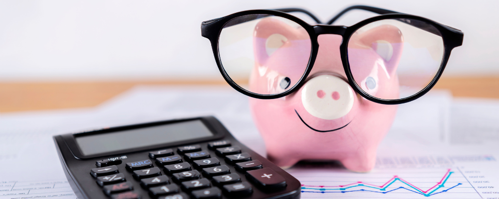 Project budget