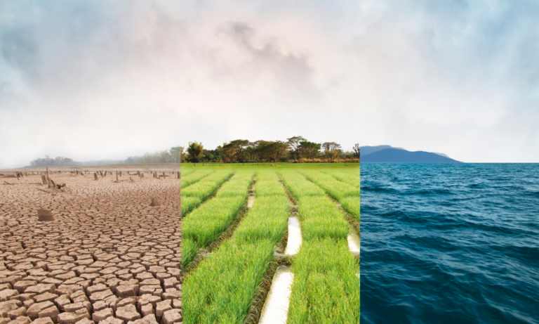 How Climate Change Is Reshaping Real Estate Investment Strategies