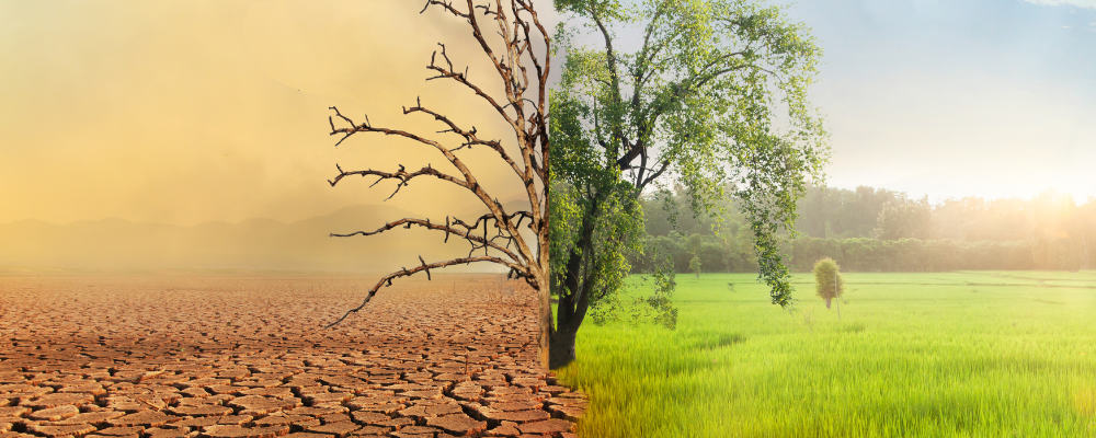 Climate change