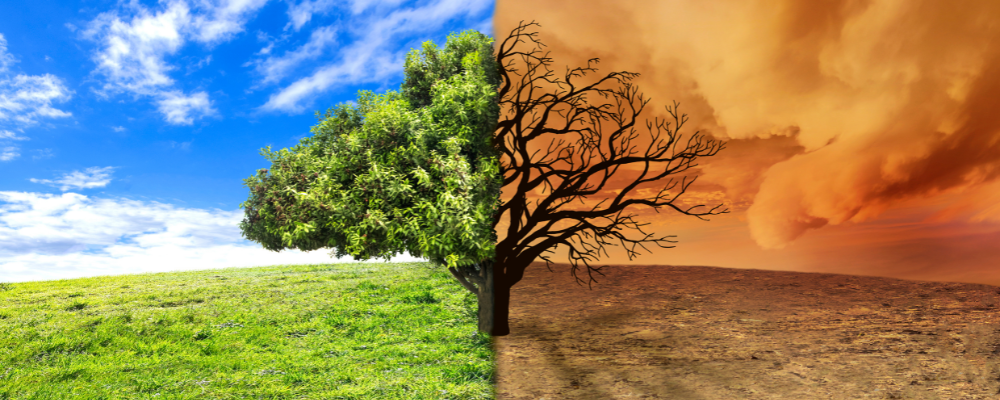 Climate change
