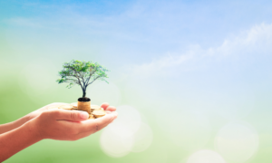 Best Income Funds