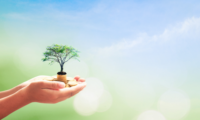 Best Income Funds